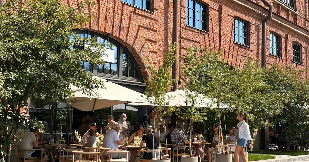 Best Social Venues in San Jose: Where to Meet People and Make Friends